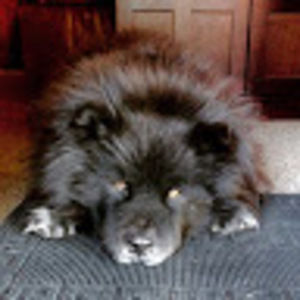 Meet your Posher, Cinder2007